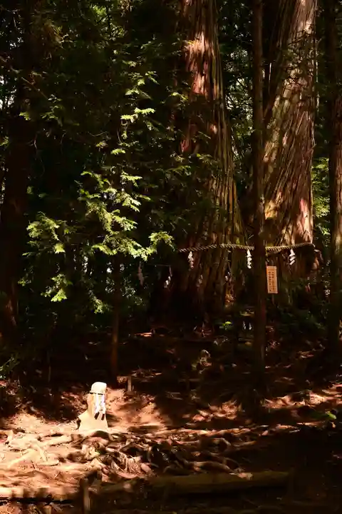 戸隠神社火之御子社(長野県)