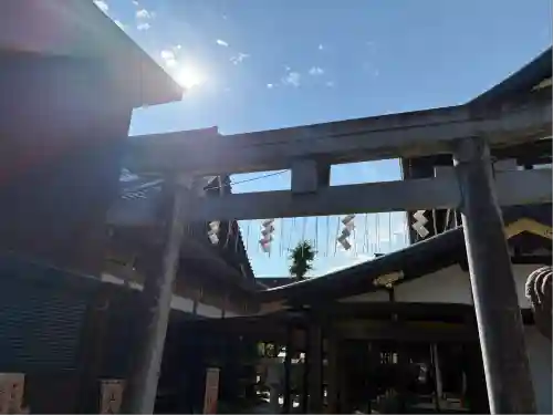 大杉神社(茨城県)