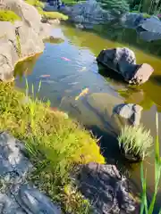 當麻寺 奥院の庭園