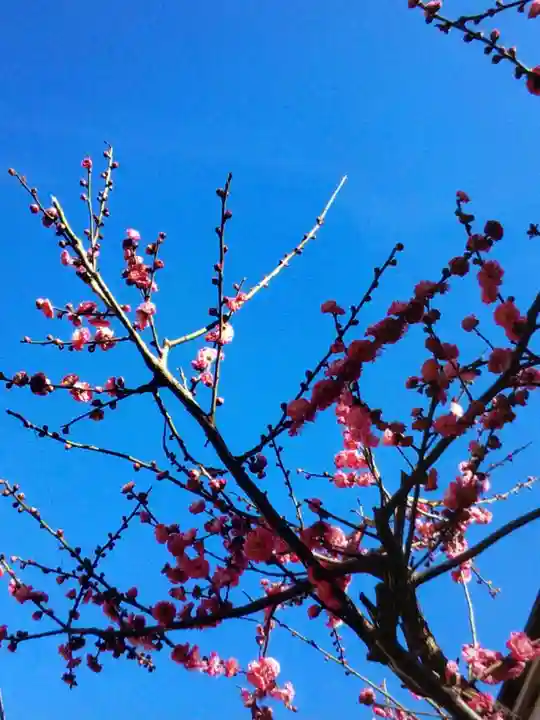 小淀東町会稲荷大明神(東京都)