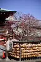 亀戸天神社(東京都)