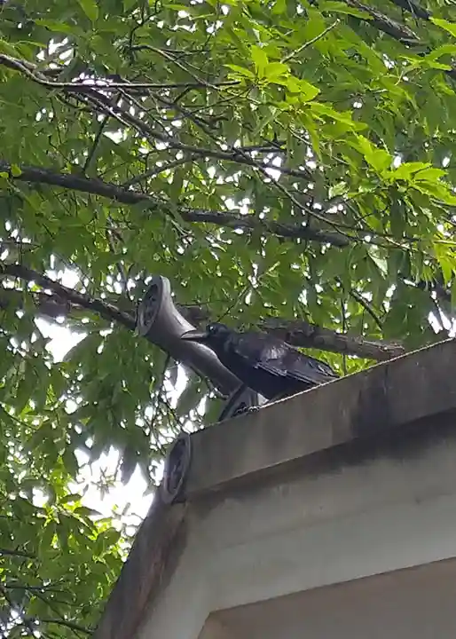 阿智神社の動物