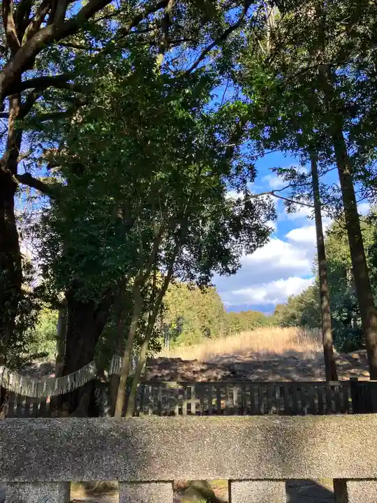 山宮浅間神社(静岡県)