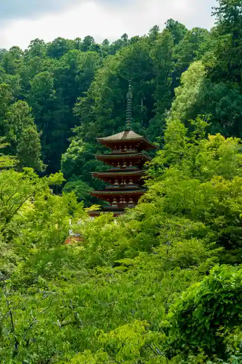 長谷寺(奈良県)
