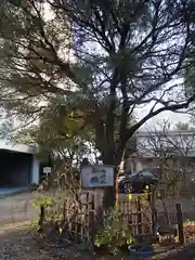 牛天神北野神社の庭園