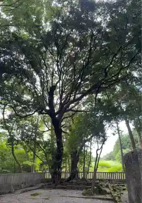 山宮浅間神社(静岡県)