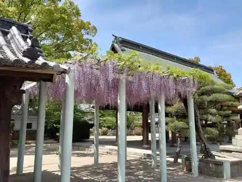 曽根天満宮の庭園