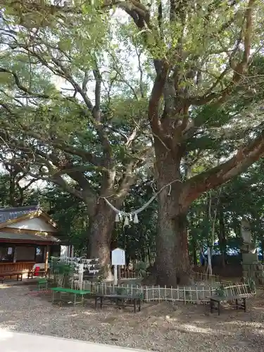 大津日吉神社(熊本県)