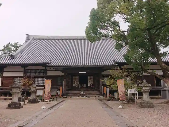 大樹寺(松安院大樹寺)の本殿・本堂