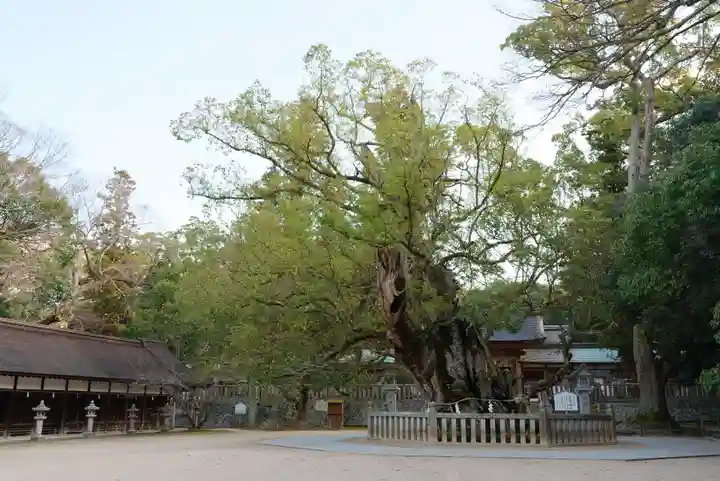 大山祇神社のその他建物