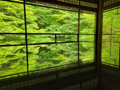 光明寺瑠璃光院(京都府)