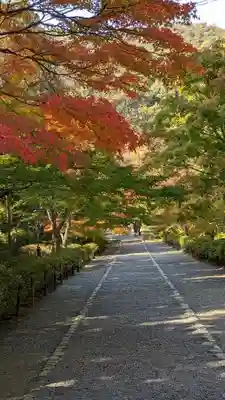 二尊院(京都府)