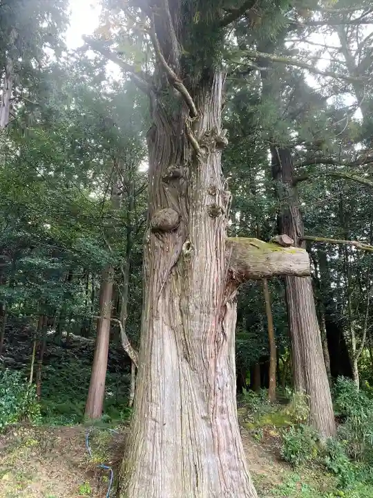 粟鹿神社(兵庫県)