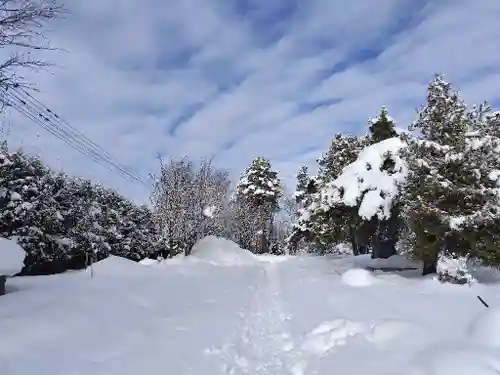 美瑛神社の自然