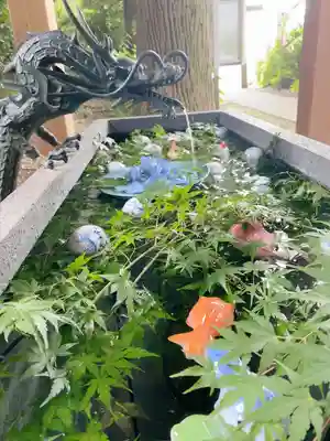 下野 星宮神社の手水舎