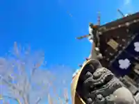 札幌諏訪神社の狛犬