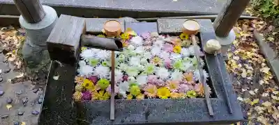  岳温泉神社 の{uncategorized: "未分類", other: "その他", undefined: "問題あり", building: "その他建物", grave: "お墓", sacred_gate: "鳥居", guardian: "狛犬", statue: "像", buddha: "仏像", history: "歴史", nature: "自然", garden: "庭園", animal: "動物", pagoda: "塔", temizu: "手水舎", mountain_gate: "山門・神門", sanctuary: "本殿・本堂", subordinate: "末社・摂社", art: "芸術", scenery: "景色", jizo: "地蔵", ema: "絵馬", goshuin: "御朱印", omikuji: "おみくじ", items: "授与品その他", amulet: "お守り", goshuincho: "御朱印帳", eats: "食事", festival: "お祭り", votive_dance: "神楽", shichigosan: "七五三参", wedding: "結婚式", experience: "体験その他", initially: "初詣", around: "周辺", anti_infection: "感染症対策"}