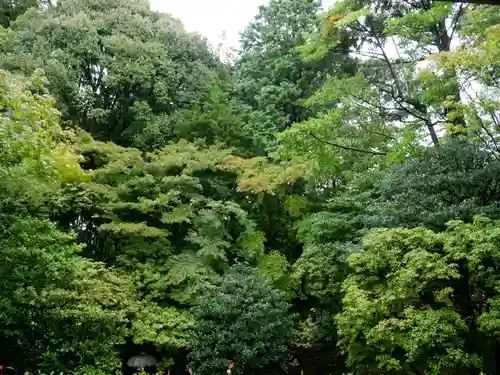 桂春院の庭園