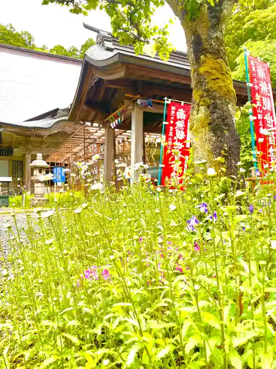 国上寺(新潟県)