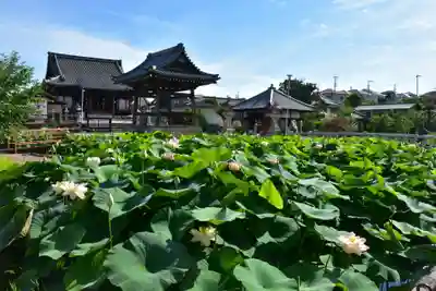 家原寺の自然