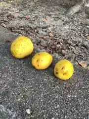 七所神社の自然