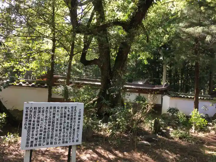 賀茂神社の自然
