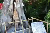 秩父今宮神社(埼玉県)