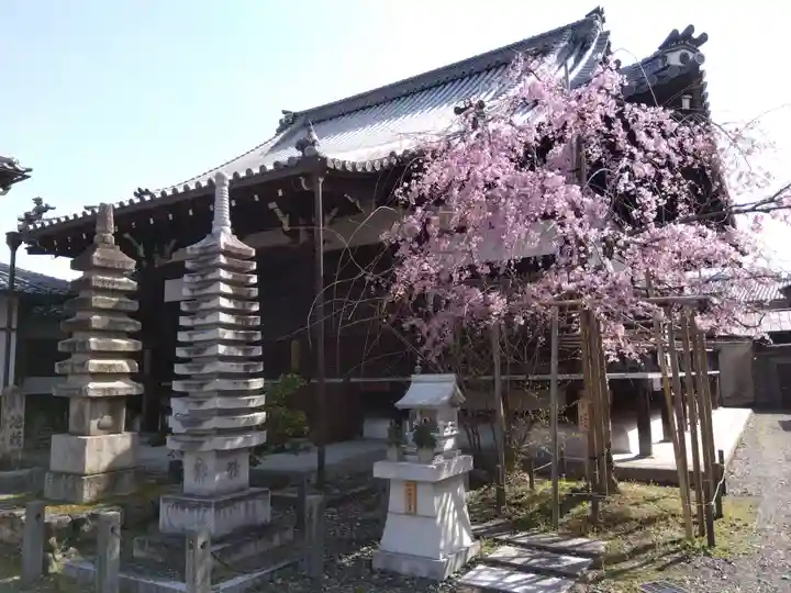 聞名寺(京都府)