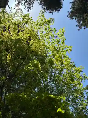岩戸別神社(栃木県)