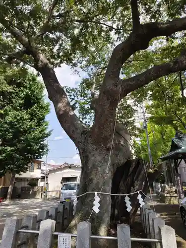 阿邪訶根神社(福島県)