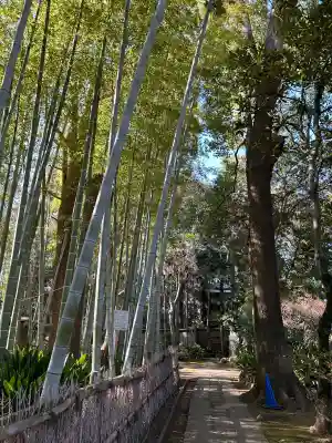 妙福寺の{uncategorized: "未分類", other: "その他", undefined: "問題あり", building: "その他建物", grave: "お墓", sacred_gate: "鳥居", guardian: "狛犬", statue: "像", buddha: "仏像", history: "歴史", nature: "自然", garden: "庭園", animal: "動物", pagoda: "塔", temizu: "手水舎", mountain_gate: "山門・神門", sanctuary: "本殿・本堂", subordinate: "末社・摂社", art: "芸術", scenery: "景色", jizo: "地蔵", ema: "絵馬", goshuin: "御朱印", omikuji: "おみくじ", items: "授与品その他", amulet: "お守り", goshuincho: "御朱印帳", eats: "食事", festival: "お祭り", votive_dance: "神楽", shichigosan: "七五三参", wedding: "結婚式", experience: "体験その他", initially: "初詣", around: "周辺", anti_infection: "感染症対策"}
