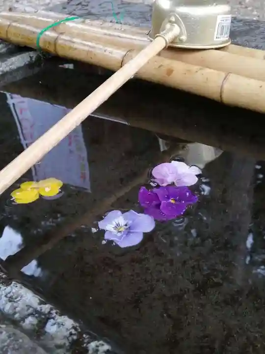 千代ケ岡八幡宮の手水舎