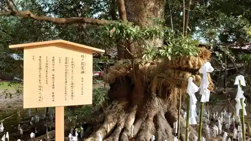 阿太加夜神社(島根県)