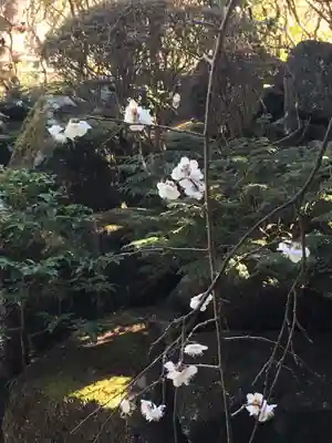 報国寺(神奈川県)