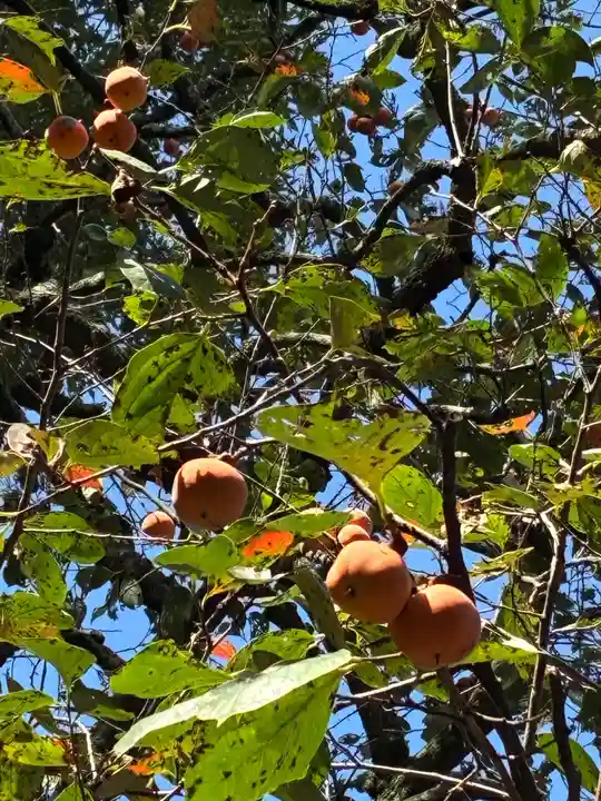 春日神社(栃木県)