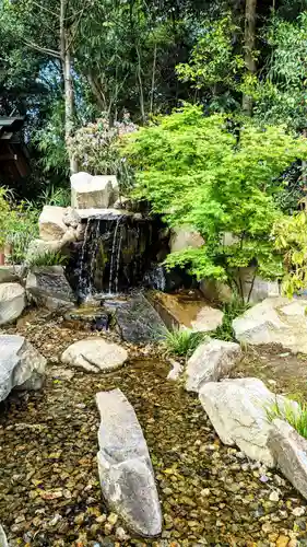 櫻木神社の自然