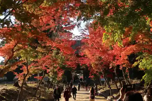 醍醐寺(京都府)