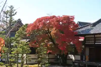 仁和寺(京都府)