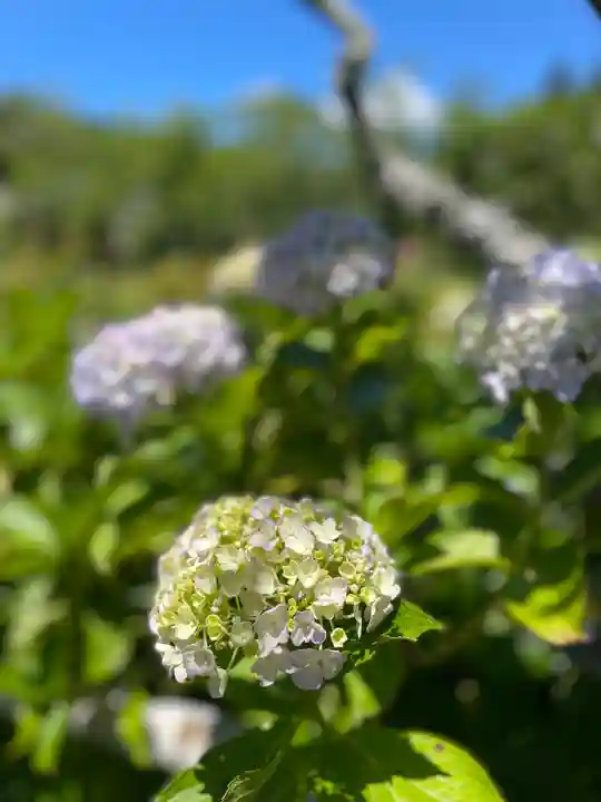 極楽寺(静岡県)