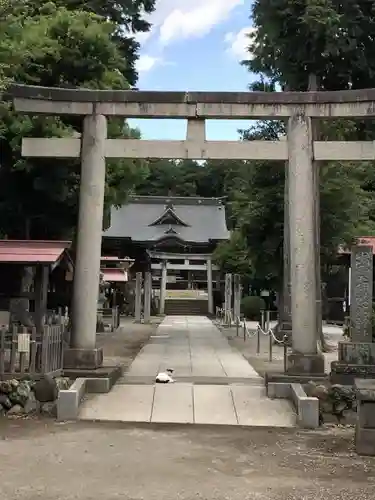 出雲伊波比神社の鳥居