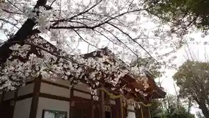 夜疑神社の自然(2024年04月05日(金) 10時40分18秒投稿)