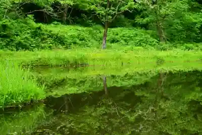 郡殿の池弁財天社(新潟県)