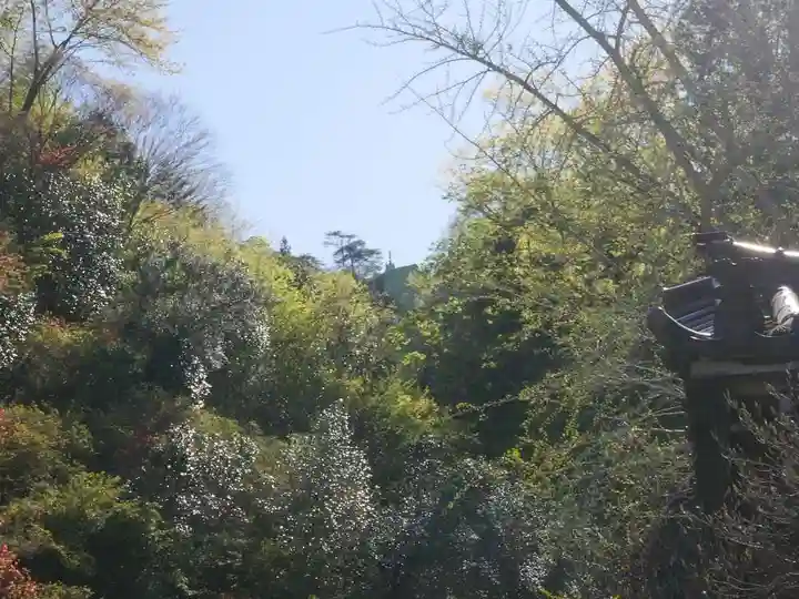 秩父札所三十二番 法性寺の自然