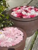 霊鑑寺門跡のその他建物