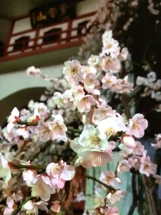 成願寺(東京都)