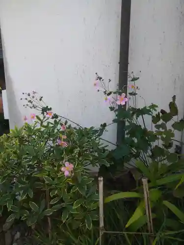 阿智神社の自然