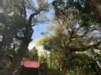 山神社(千葉県)