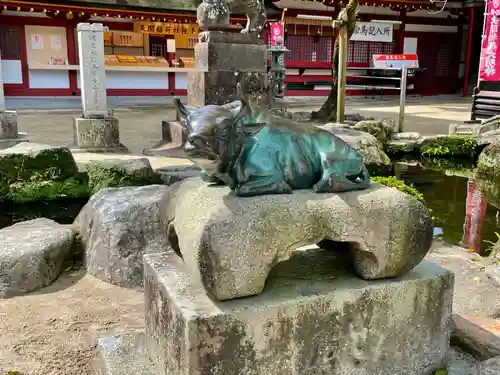 太宰府天満宮の狛犬