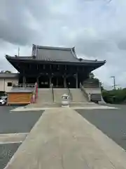 金蔵寺(千葉県)