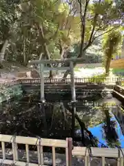 大洗磯前神社(茨城県)